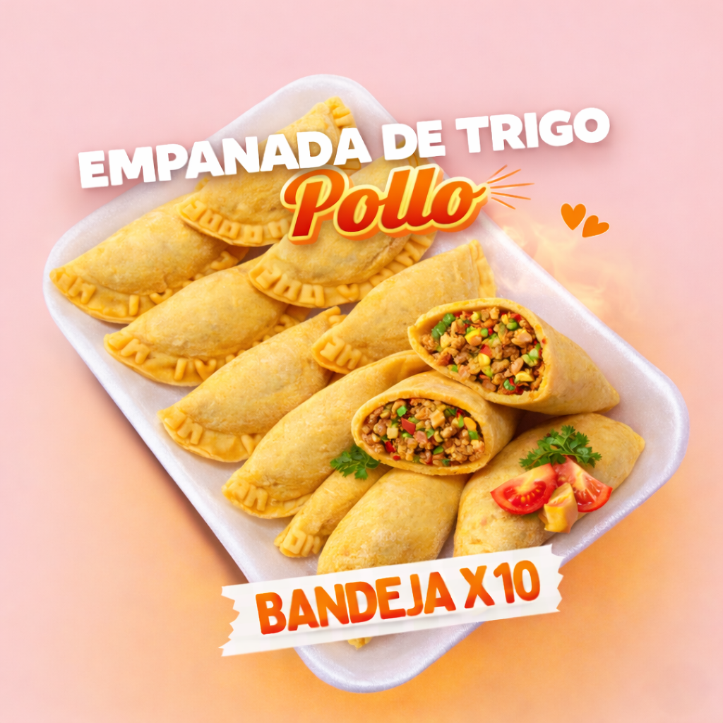 Empanadas de Trigo Pollo